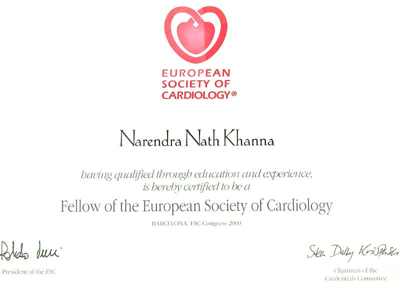 Certificate 3 - Dr. N. N. Khanna